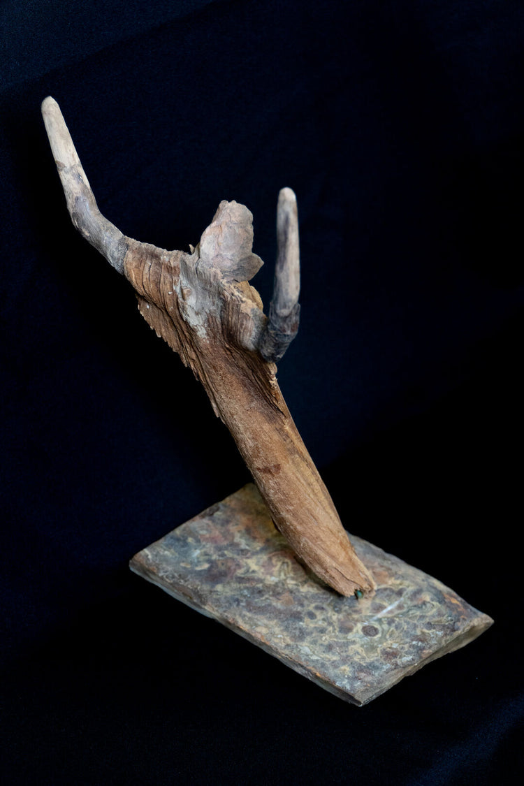 Spirit of the Timber
