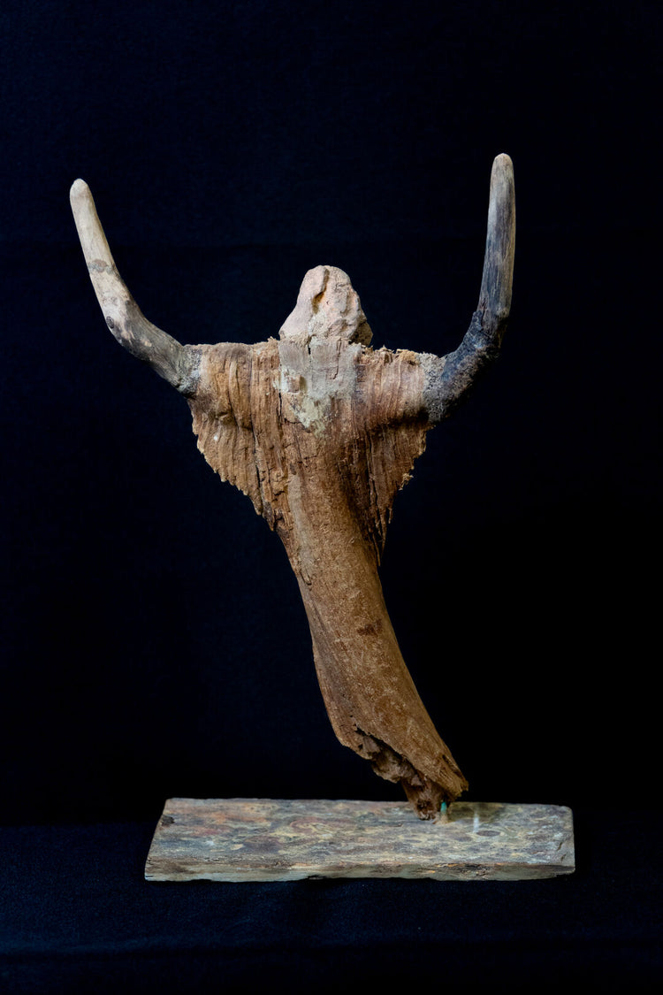 Spirit of the Timber