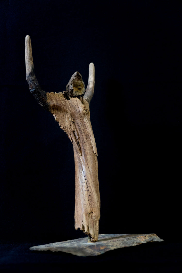 Spirit of the Timber