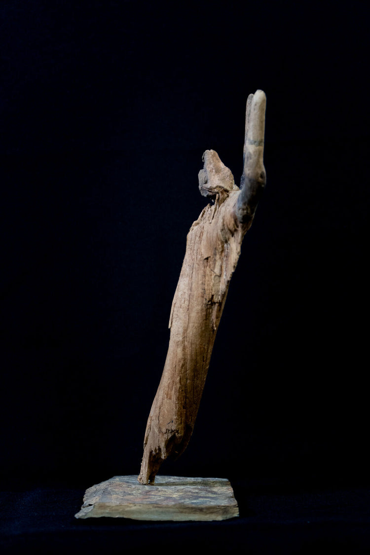 Spirit of the Timber