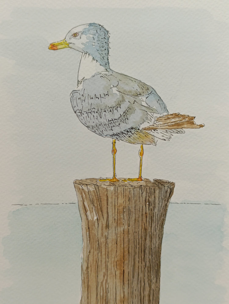Seagull on a Post