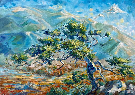 Soledad