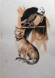Gato E Papagaio