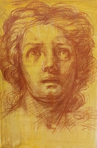 Red Sepia Study: After B. Franceschini