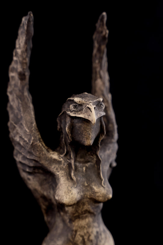 Iron Eagle Woman