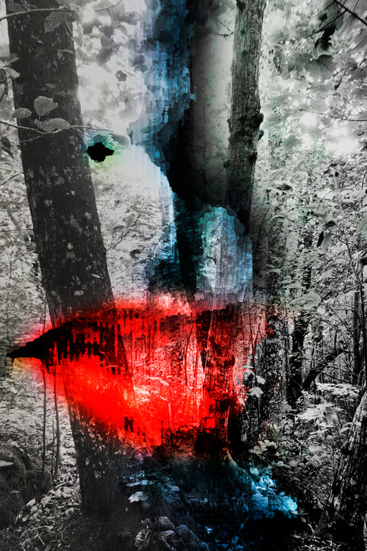 Forest 21