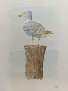 Seagull on a Post