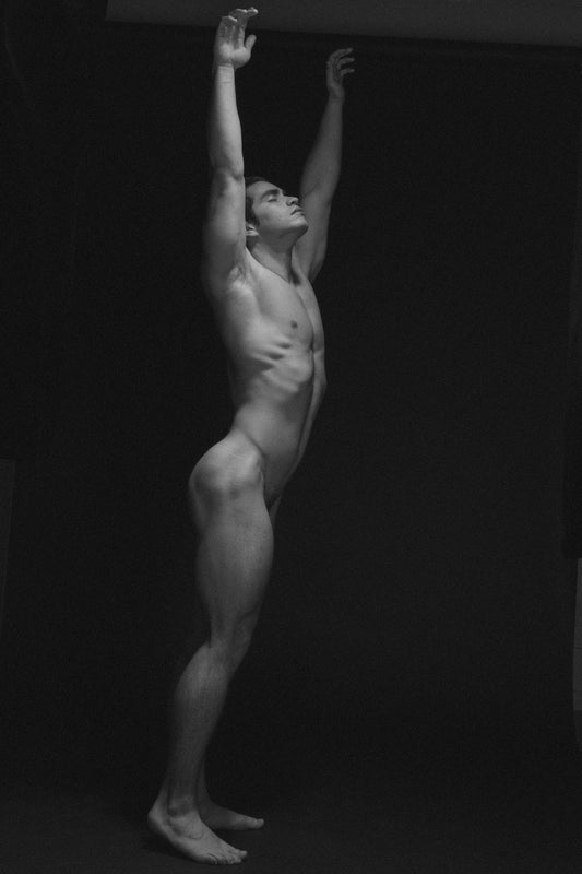 Luiz V., corpo, 2017