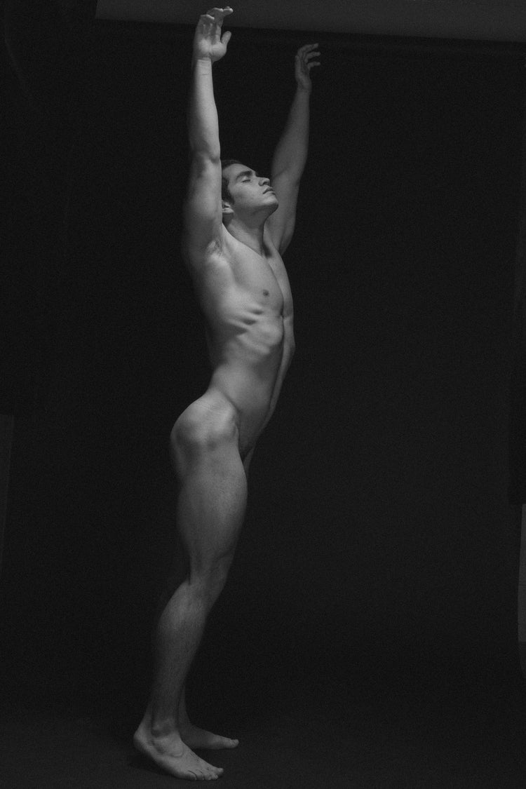 Luiz V., corpo, 2017