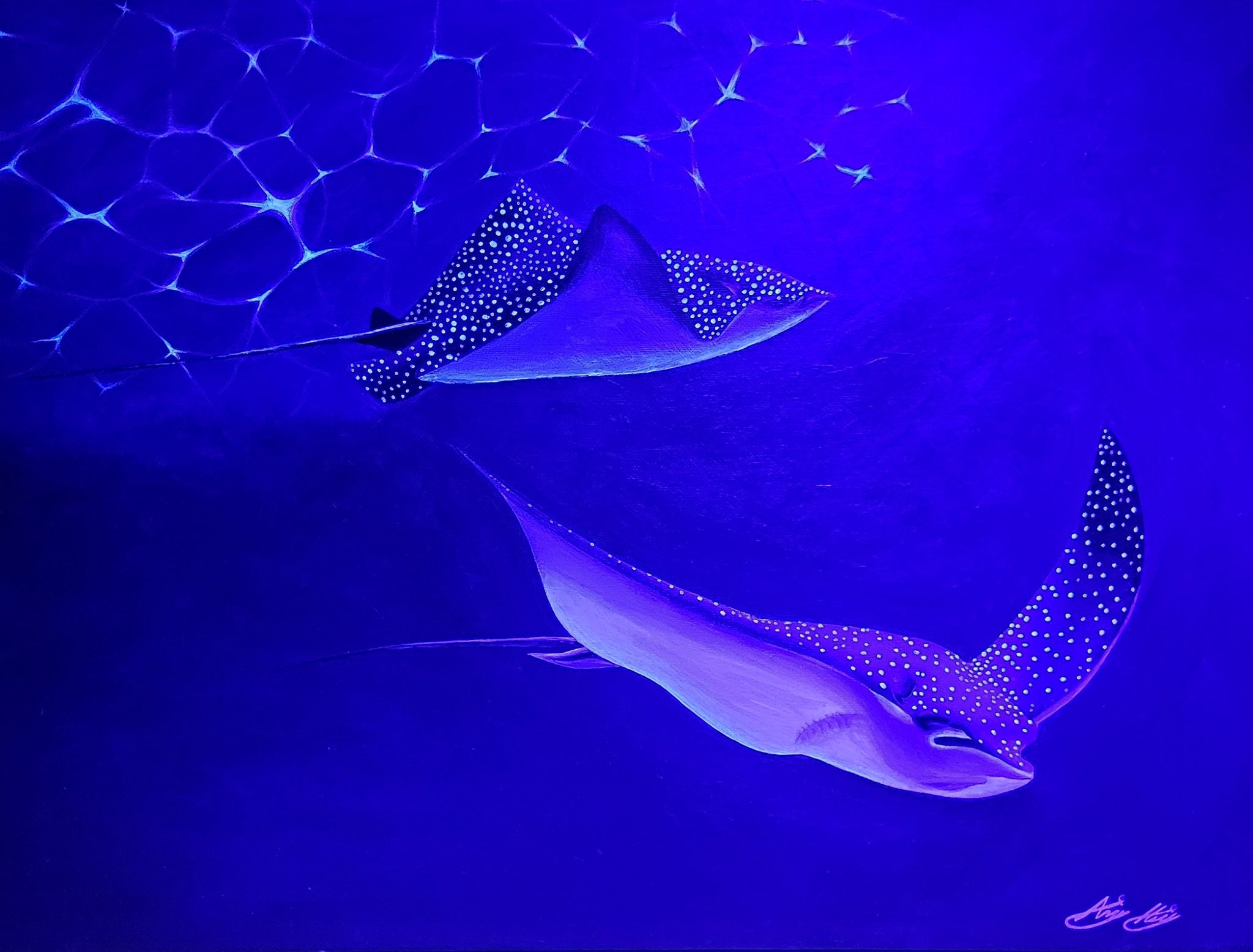 Rays