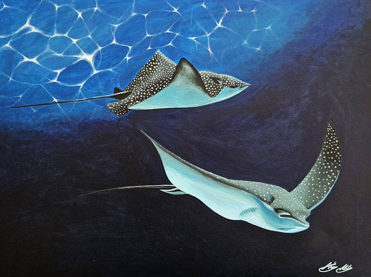 Rays by Angie Hickson – two spotted eagle rays underwater