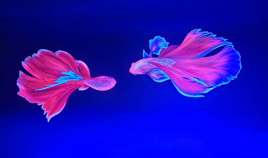 The Dance by Angie Hickson under UV light